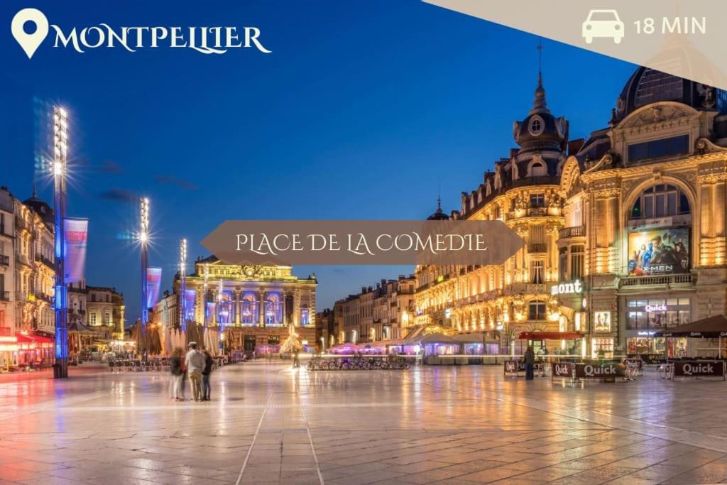 016- T2 Tropisme, Appart 1 Chambre,Clim,Wifi,Parking Монпелие Екстериор снимка